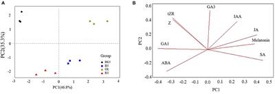 Effects of Different Shading Treatments on the Biomass and Transcriptome Profiles of Tea Leaves (Camellia sinensis L.) and the Regulatory Effect on Phytohormone Biosynthesis